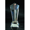 Vision Optical Crystal Award